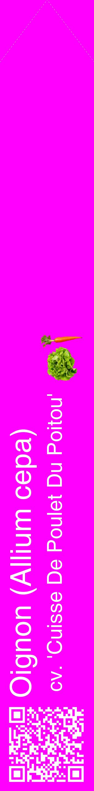 Étiquette de : Allium cepa cv. 'Cuisse De Poulet Du Poitou' - format c - style blanche51_simplehel avec qrcode et comestibilité simplifiée