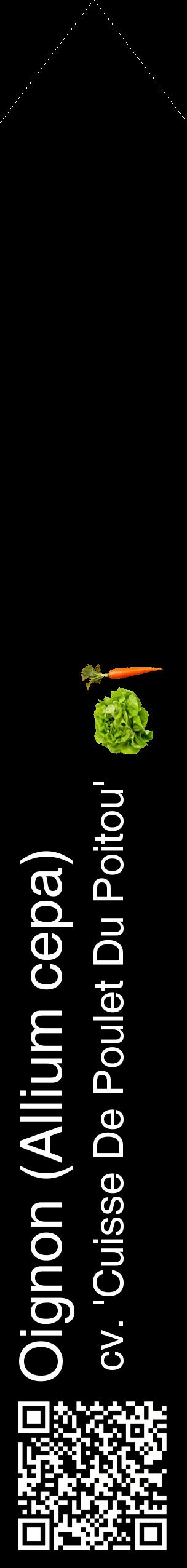 Étiquette de : Allium cepa cv. 'Cuisse De Poulet Du Poitou' - format c - style blanche59_simplehel avec qrcode et comestibilité simplifiée