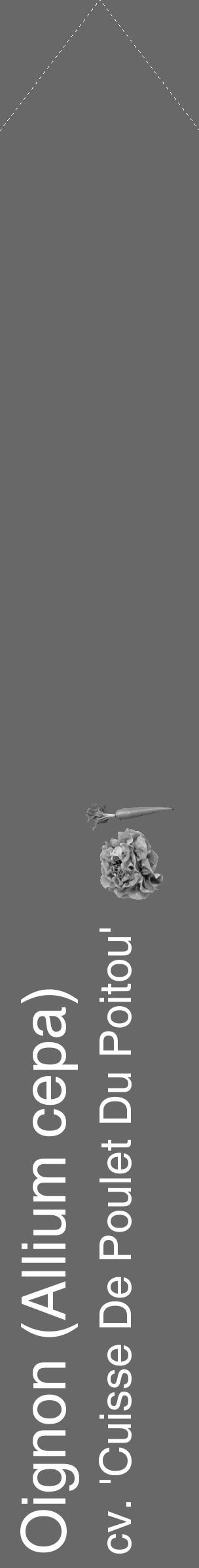 Étiquette de : Allium cepa cv. 'Cuisse De Poulet Du Poitou' - format c - style blanche43_simple_simplehel avec comestibilité simplifiée - position verticale