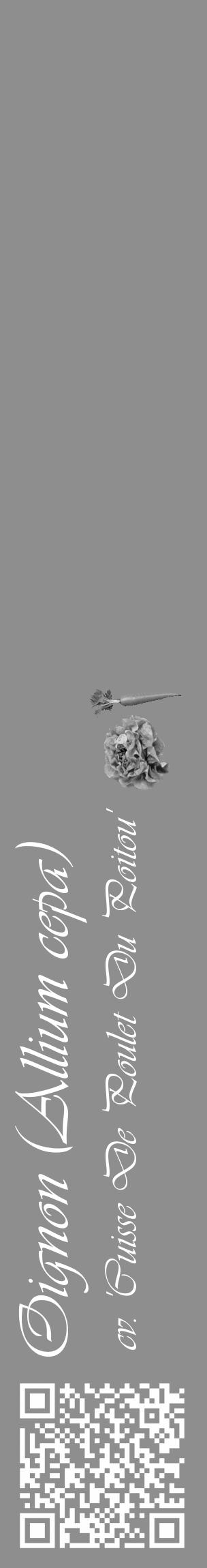 Étiquette de : Allium cepa cv. 'Cuisse De Poulet Du Poitou' - format c - style blanche25_basique_basiqueviv avec qrcode et comestibilité simplifiée - position verticale