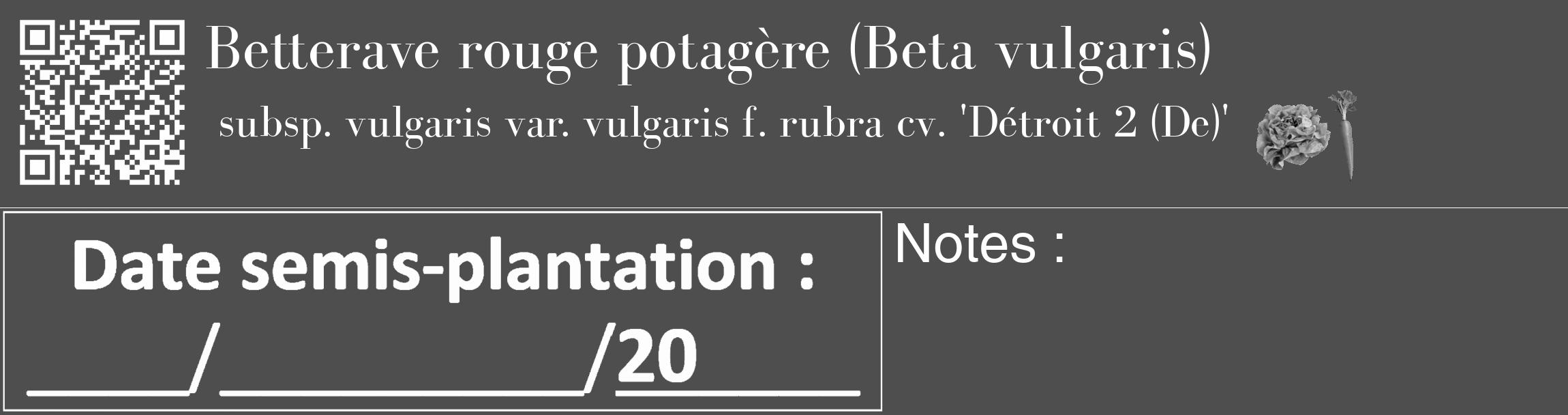 Étiquette de : Beta vulgaris subsp. vulgaris var. vulgaris f. rubra cv. 'Détroit 2 (De)' - format c - style blanche33_basique_basiquebod avec qrcode et comestibilité simplifiée