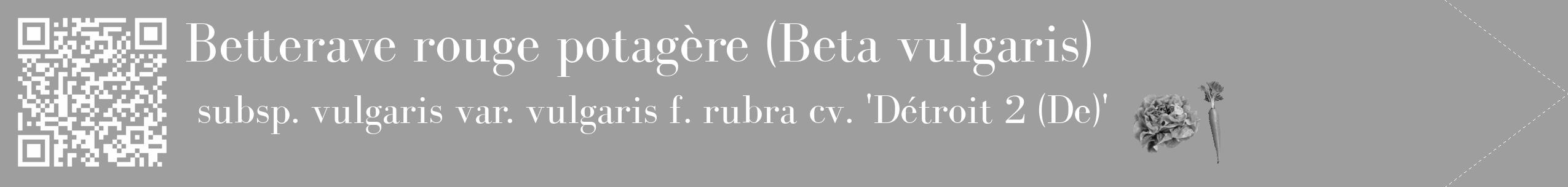 Étiquette de : Beta vulgaris subsp. vulgaris var. vulgaris f. rubra cv. 'Détroit 2 (De)' - format c - style blanche42_simple_simplebod avec qrcode et comestibilité simplifiée