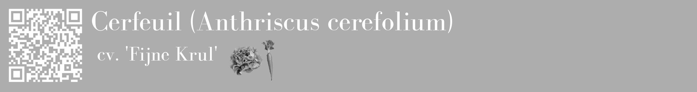 Étiquette de : Anthriscus cerefolium cv. 'Fijne Krul' - format c - style blanche22_basique_basiquebod avec qrcode et comestibilité simplifiée