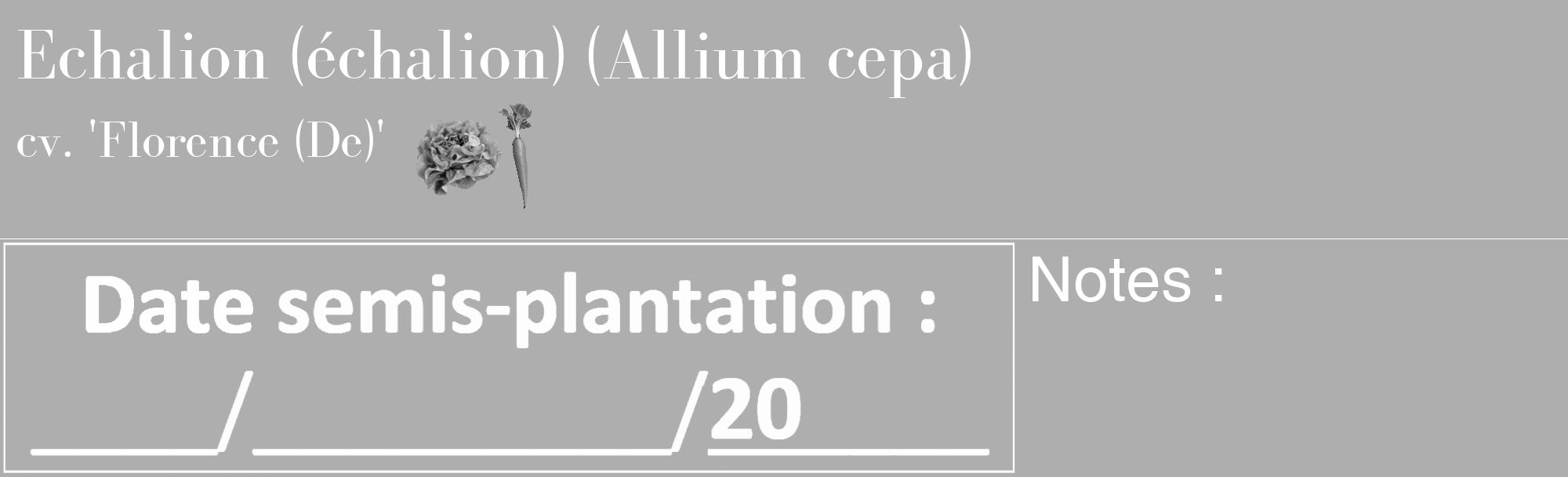 Étiquette de : Allium cepa cv. 'Florence (De)' - format c - style blanche53_basique_basiquebod avec comestibilité simplifiée