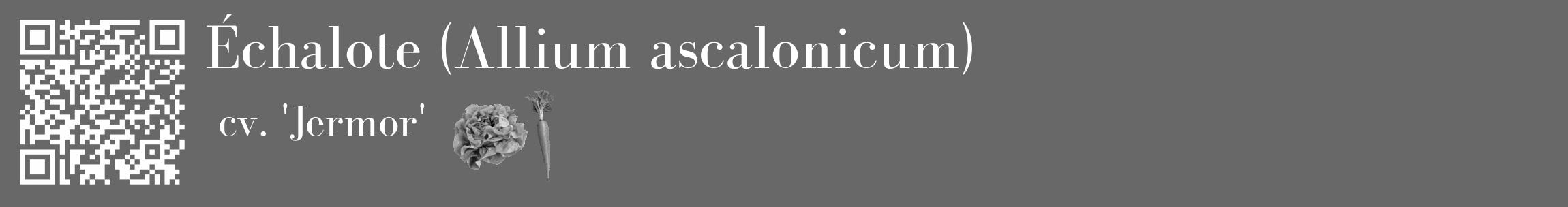 Étiquette de : Allium ascalonicum cv. 'Jermor' - format c - style blanche43_basique_basiquebod avec qrcode et comestibilité simplifiée