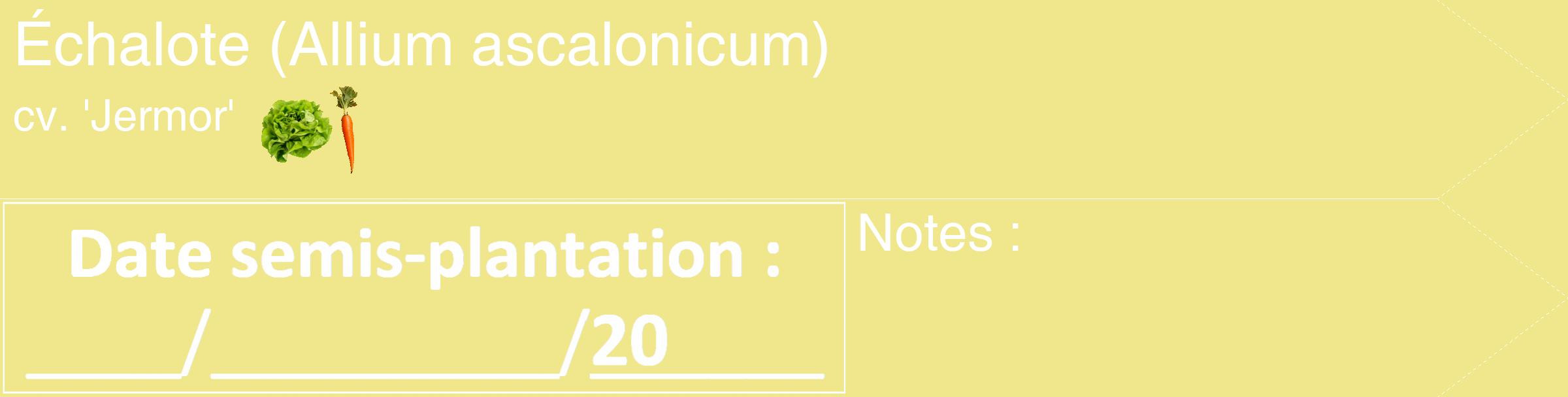 Étiquette de : Allium ascalonicum cv. 'Jermor' - format c - style blanche20_simple_simplehel avec comestibilité simplifiée