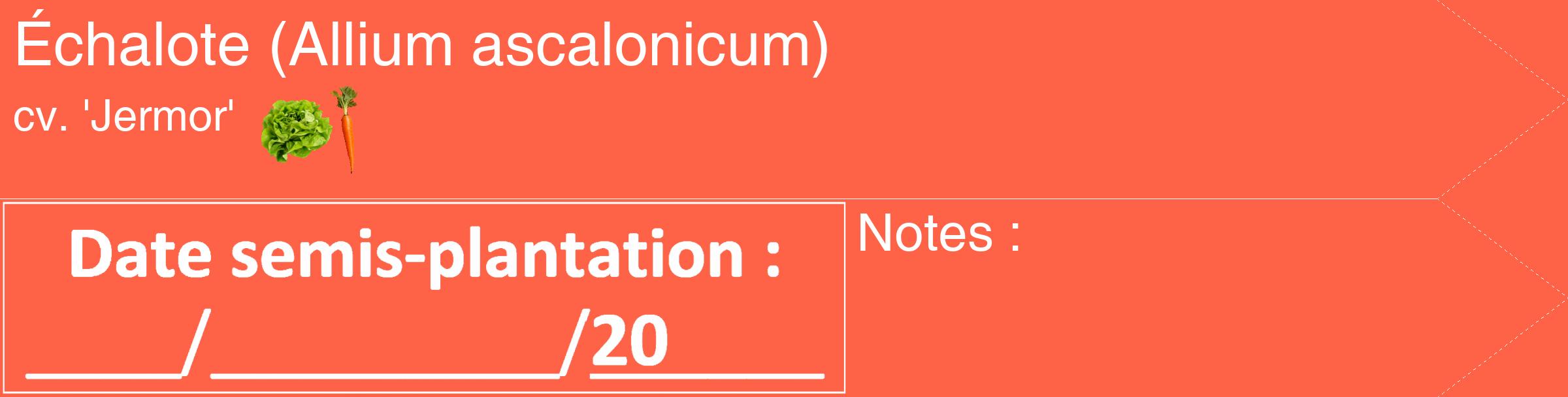 Étiquette de : Allium ascalonicum cv. 'Jermor' - format c - style blanche25_simple_simplehel avec comestibilité simplifiée