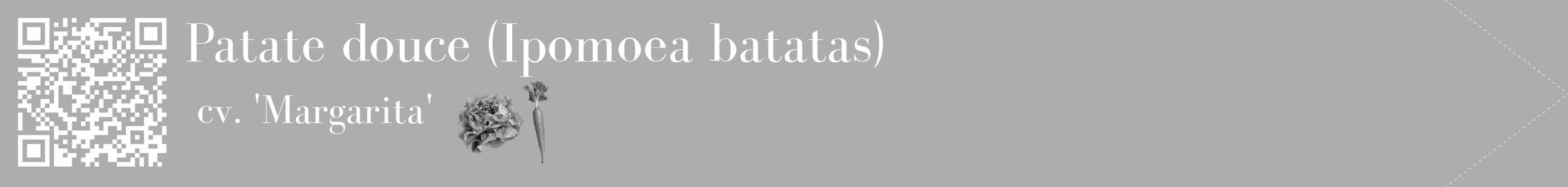 Étiquette de : Ipomoea batatas cv. 'Margarita' - format c - style blanche22_simple_simplebod avec qrcode et comestibilité simplifiée