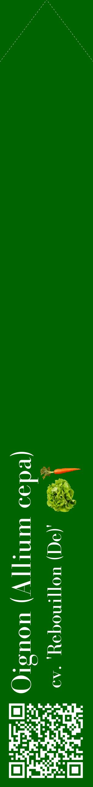 Étiquette de : Allium cepa cv. 'Rebouillon (De)' - format c - style blanche8_simplebod avec qrcode et comestibilité simplifiée