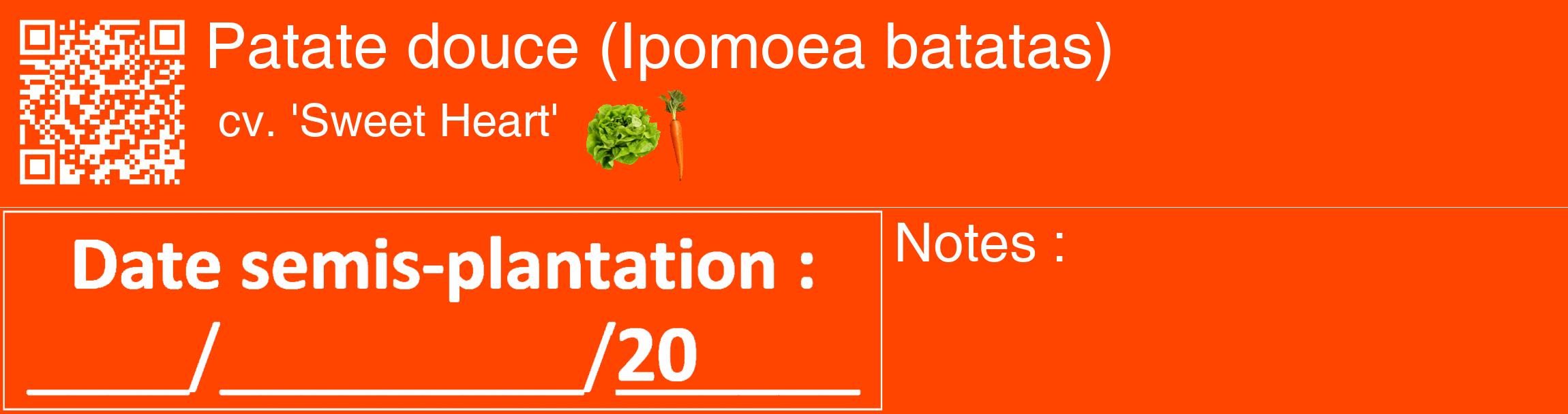 Étiquette de : Ipomoea batatas cv. 'Sweet Heart' - format c - style blanche26_basique_basiquehel avec qrcode et comestibilité simplifiée
