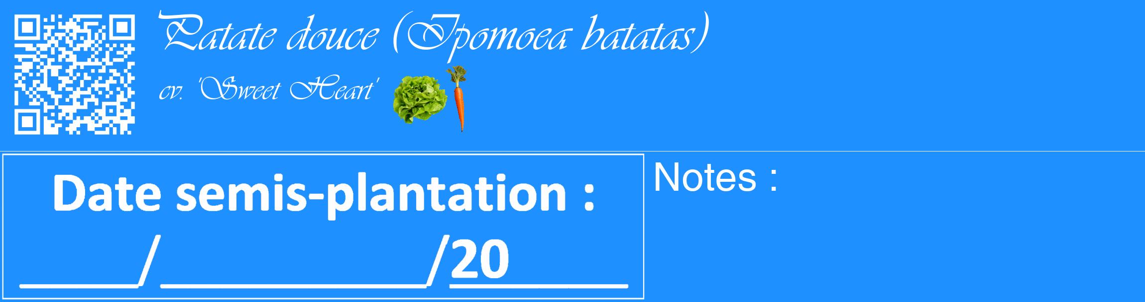 Étiquette de : Ipomoea batatas cv. 'Sweet Heart' - format c - style blanche3_basique_basiqueviv avec qrcode et comestibilité simplifiée