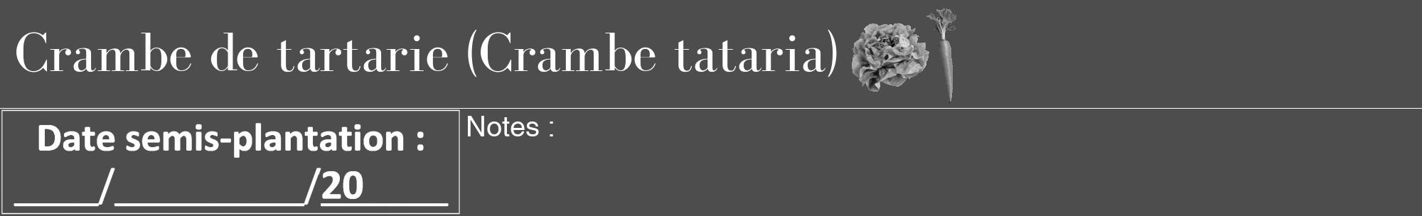 Étiquette de : Crambe tataria - format a - style blanche28bod avec comestibilité simplifiée