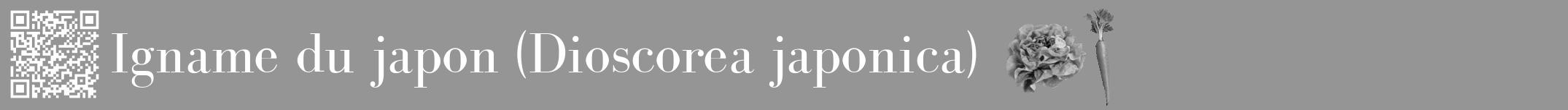 Étiquette de : Dioscorea japonica - format a - style blanche16bod avec qrcode et comestibilité simplifiée
