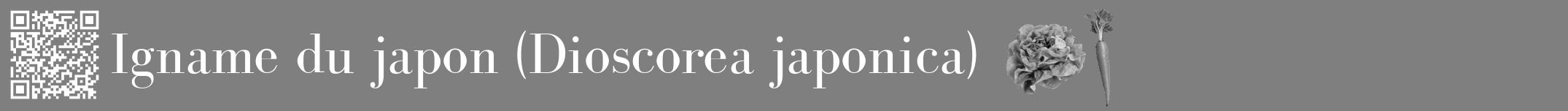 Étiquette de : Dioscorea japonica - format a - style blanche31bod avec qrcode et comestibilité simplifiée