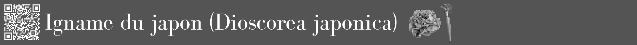 Étiquette de : Dioscorea japonica - format a - style blanche36bod avec qrcode et comestibilité simplifiée