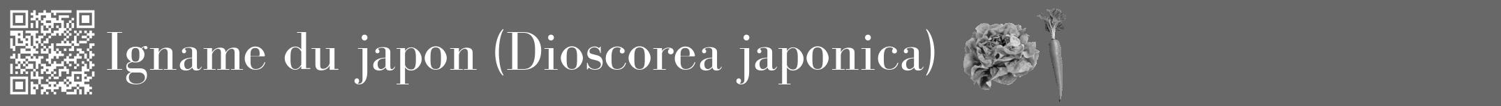 Étiquette de : Dioscorea japonica - format a - style blanche43bod avec qrcode et comestibilité simplifiée