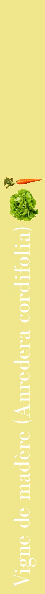 Étiquette de : Anredera cordifolia - format a - style blanche20bod avec comestibilité simplifiée