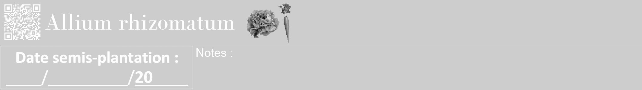 Étiquette de : Allium rhizomatum - format a - style blanche41bod avec qrcode et comestibilité simplifiée
