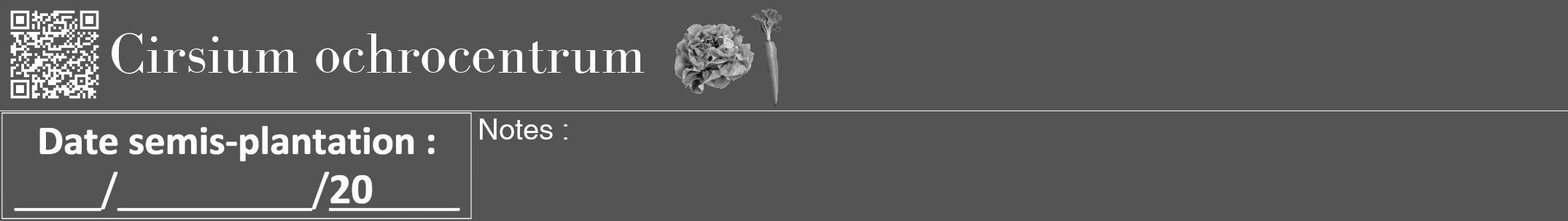 Étiquette de : Cirsium ochrocentrum - format a - style blanche36bod avec qrcode et comestibilité simplifiée