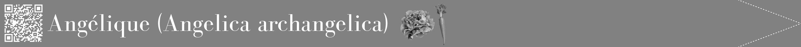 Étiquette de : Angelica archangelica - format b - style blanche50bod avec qrcode et comestibilité simplifiée