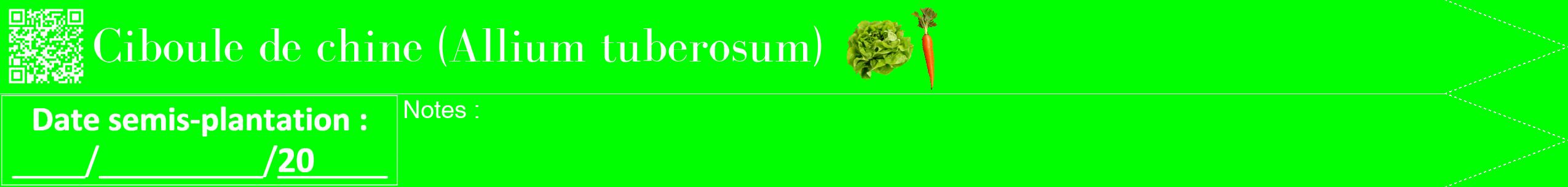 Étiquette de : Allium tuberosum - format b - style blanche16simplebod avec qrcode et comestibilité simplifiée