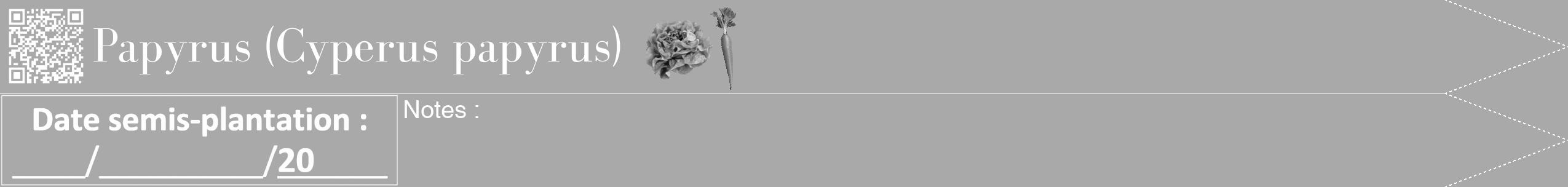 Étiquette de : Cyperus papyrus - format b - style blanche13bod avec qrcode et comestibilité simplifiée
