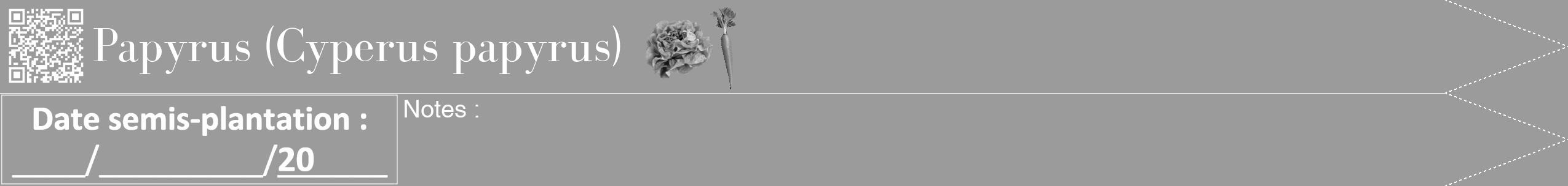 Étiquette de : Cyperus papyrus - format b - style blanche52bod avec qrcode et comestibilité simplifiée