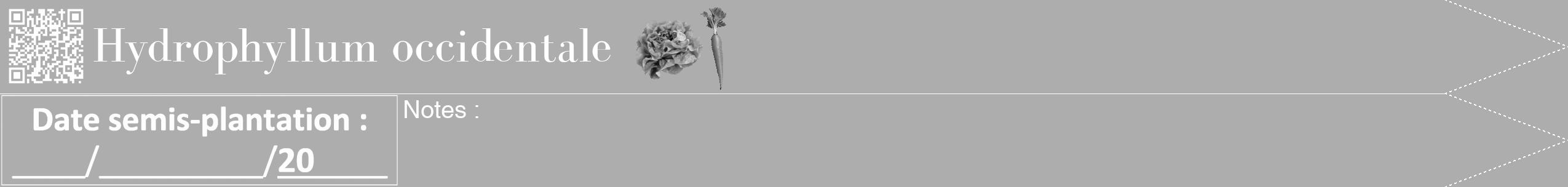 Étiquette de : Hydrophyllum occidentale - format b - style blanche22bod avec qrcode et comestibilité simplifiée