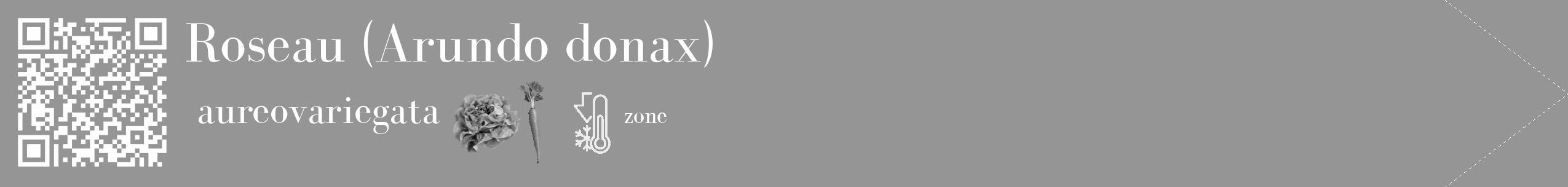 Étiquette de : Arundo donax aureovariegata - format c - style blanche16_simple_simplebod avec qrcode et comestibilité simplifiée
