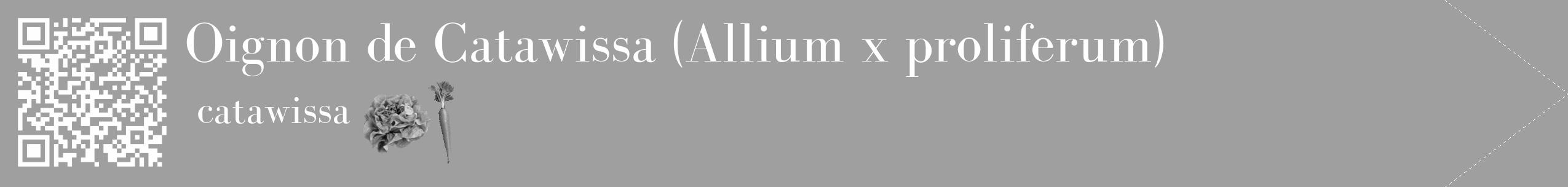 Étiquette de : Allium x proliferum catawissa - format c - style blanche24_simple_simplebod avec qrcode et comestibilité simplifiée