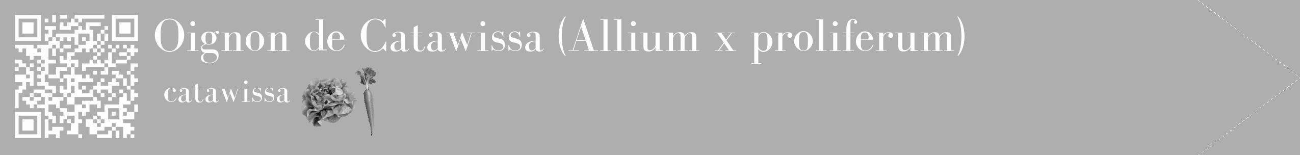Étiquette de : Allium x proliferum catawissa - format c - style blanche53_simple_simplebod avec qrcode et comestibilité simplifiée