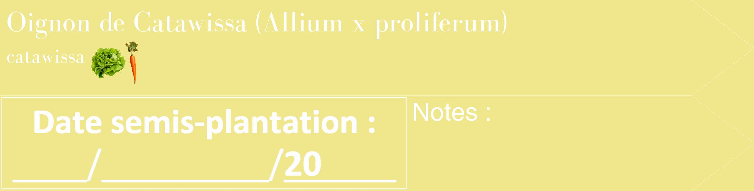 Étiquette de : Allium x proliferum catawissa - format c - style blanche20_simple_simplebod avec comestibilité simplifiée