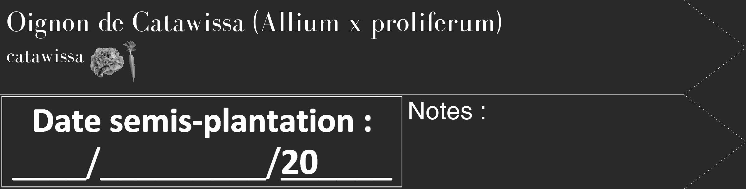 Étiquette de : Allium x proliferum catawissa - format c - style blanche34_simple_simplebod avec comestibilité simplifiée