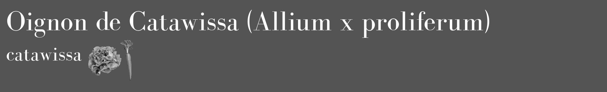 Étiquette de : Allium x proliferum catawissa - format c - style blanche36_basique_basiquebod avec comestibilité simplifiée