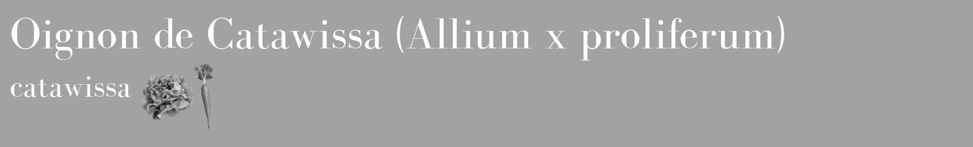 Étiquette de : Allium x proliferum catawissa - format c - style blanche38_basique_basiquebod avec comestibilité simplifiée