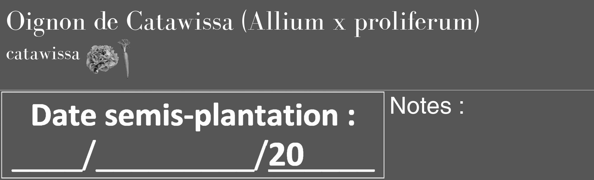 Étiquette de : Allium x proliferum catawissa - format c - style blanche45_basique_basiquebod avec comestibilité simplifiée