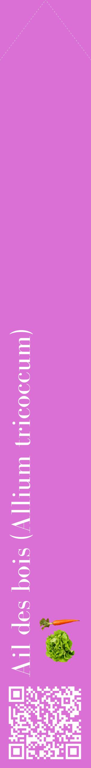 Étiquette de : Allium tricoccum - format c - style blanche52_simplebod avec qrcode et comestibilité simplifiée