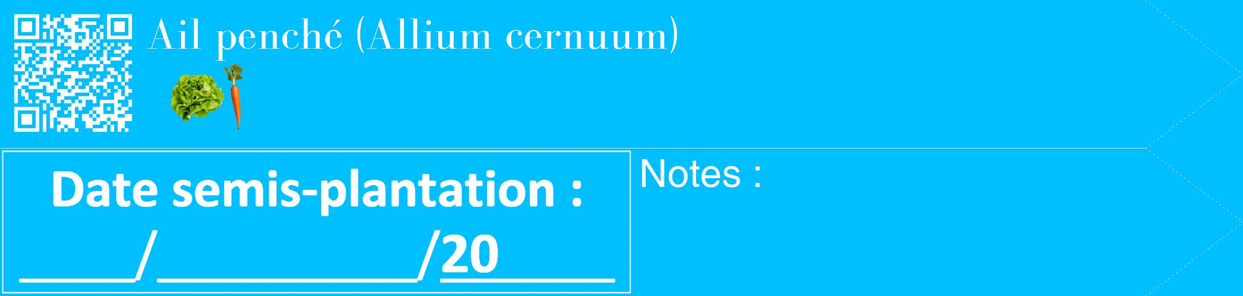 Étiquette de : Allium cernuum - format c - style blanche2_simple_simplebod avec qrcode et comestibilité simplifiée