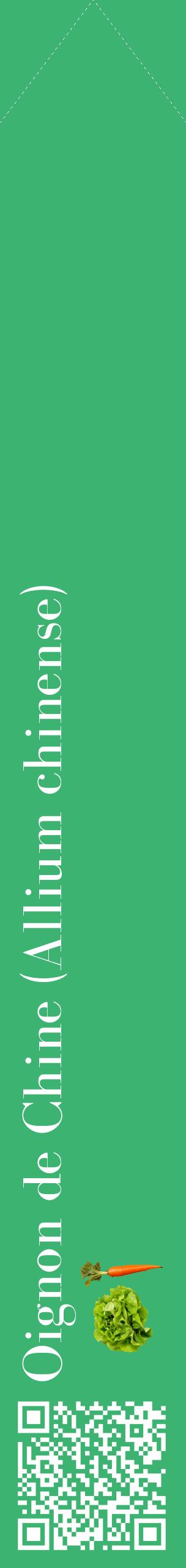 Étiquette de : Allium chinense - format c - style blanche12_simplebod avec qrcode et comestibilité simplifiée