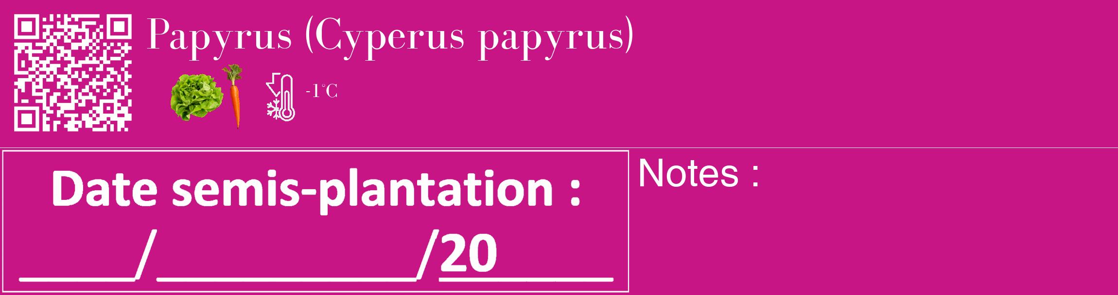 Étiquette de : Cyperus papyrus - format c - style blanche45_basique_basiquebod avec qrcode et comestibilité simplifiée