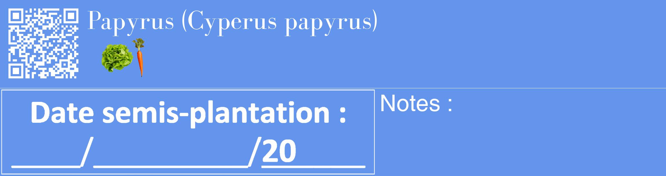 Étiquette de : Cyperus papyrus - format c - style blanche4_basique_basiquebod avec qrcode et comestibilité simplifiée