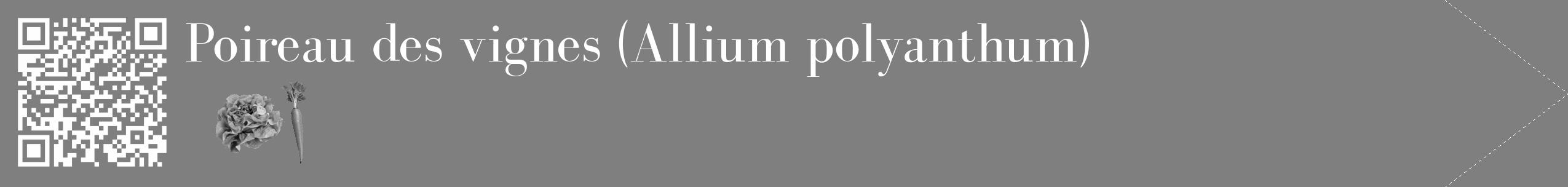 Étiquette de : Allium polyanthum - format c - style blanche57_simple_simplebod avec qrcode et comestibilité simplifiée