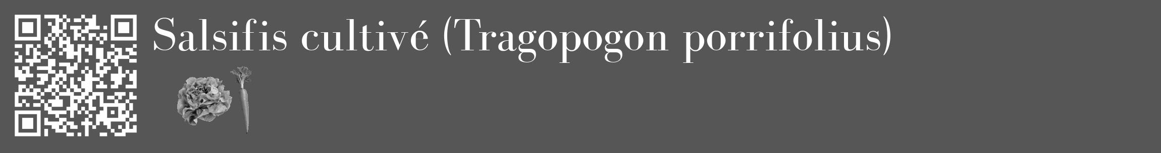 Étiquette de : Tragopogon porrifolius - format c - style blanche45_basique_basiquebod avec qrcode et comestibilité simplifiée