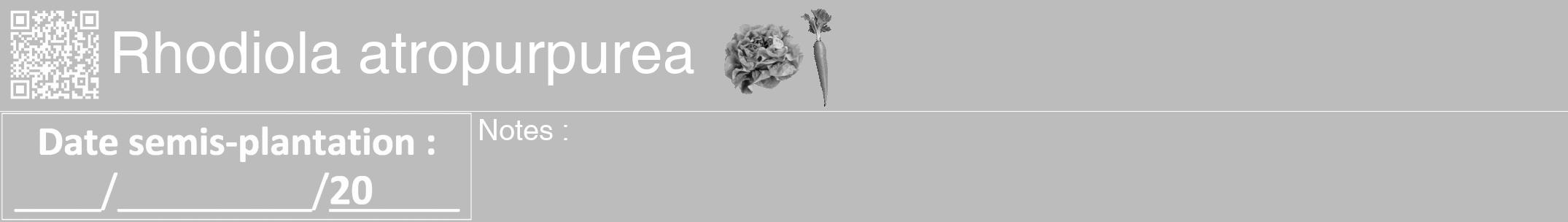 Étiquette de : Rhodiola atropurpurea - format a - style blanche1hel avec qrcode et comestibilité simplifiée