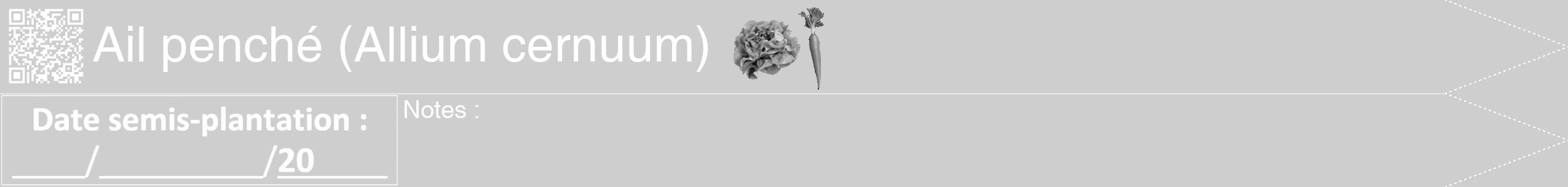 Étiquette de : Allium cernuum - format b - style blanche17hel avec qrcode et comestibilité simplifiée
