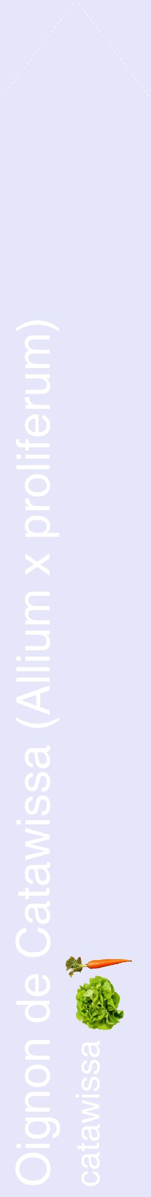 Étiquette de : Allium x proliferum catawissa - format c - style blanche55_simplehel avec comestibilité simplifiée