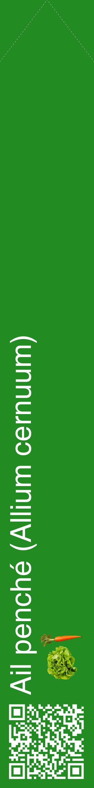 Étiquette de : Allium cernuum - format c - style blanche10_simplehel avec qrcode et comestibilité simplifiée