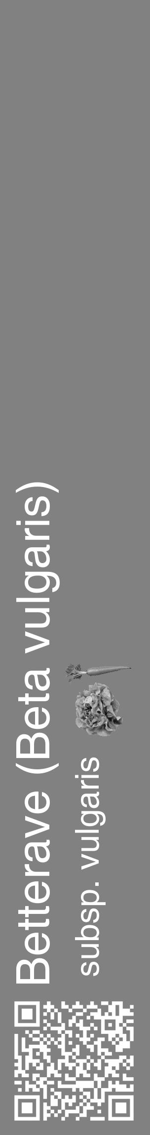 Étiquette de : Beta vulgaris subsp. vulgaris - format c - style blanche50_basique_basiquehel avec qrcode et comestibilité simplifiée - position verticale