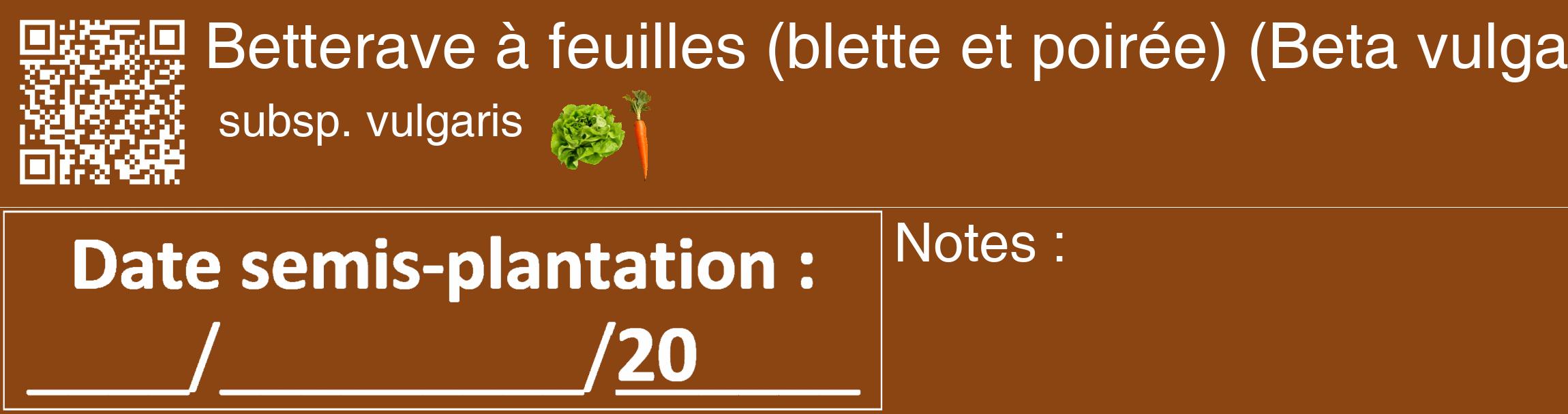 Étiquette de : Beta vulgaris subsp. vulgaris - format c - style blanche30_basique_basiquehel avec qrcode et comestibilité simplifiée