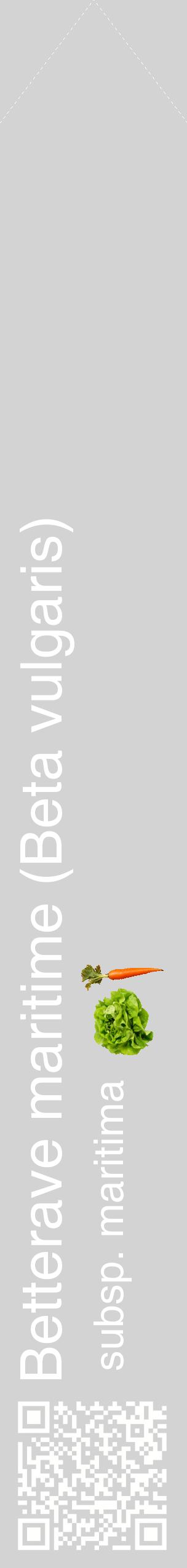 Étiquette de : Beta vulgaris subsp. maritima - format c - style blanche56_simplehel avec qrcode et comestibilité simplifiée